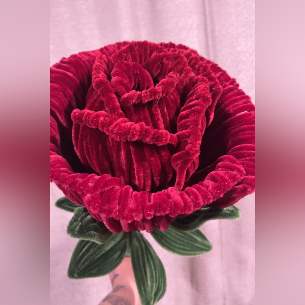 Burgundy Rose